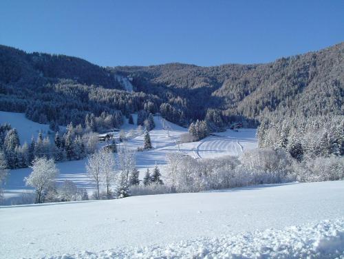 a snow covered hill with trees and a mountain at L’Invólt Mountain Lodge in Borno