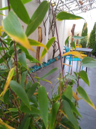 a plant in a room with a table and chairs at Art & Nature Apartments in der Nähe FFM-Messe in Bad Vilbel