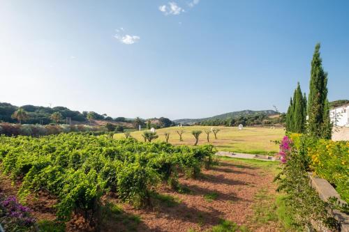 a row of vines in a field with flowers and trees at Hotel Rural Sant Patrici in Ferreries
