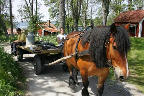 a horse pulling a carriage down a road at Lidö Värdshus in Lidö