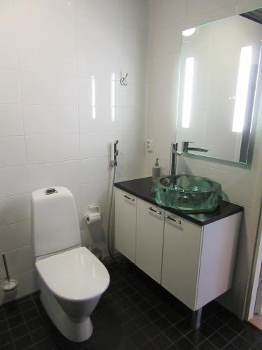 a bathroom with a toilet and a sink and a mirror at Rantahiekka B3 in Kalajoki