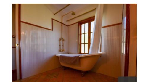 Lakefront holiday villa في يونغابورا: حمام مع حوض في غرفة مع نافذة