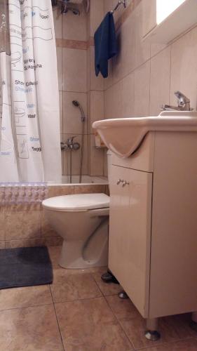een badkamer met een toilet, een wastafel en een douche bij Acropolis-Koukaki Nikos` Apt in Athene
