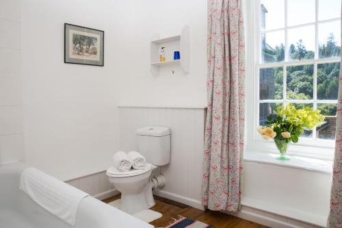 a bathroom with a toilet and a window at The Old House, Llwyn Madoc in Llanwrtyd Wells