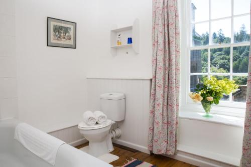 un bagno con wc e finestra di The Old House, Llwyn Madoc a Llanwrtyd Wells