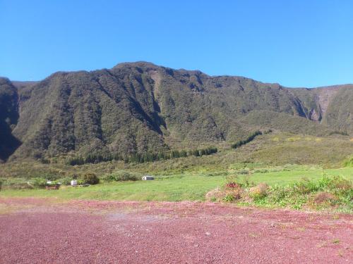 una montaña en la distancia con un campo de hierba en L'Arum des Prairies, en Bras des Calumets