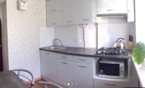 een kleine keuken met een fornuis en een wastafel bij Apartment Shevchenka 154 in Nikopol