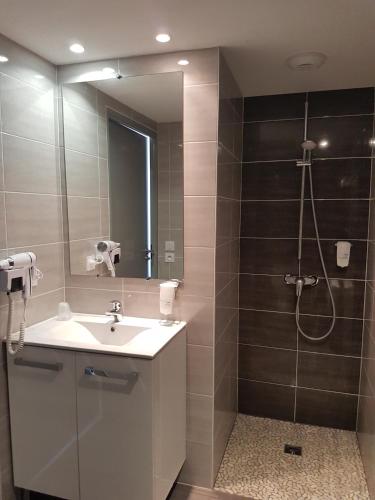 une salle de bain avec un lavabo et une douche avec un miroir dans l'établissement Hôtel Restaurant Les Bruyères, à Saint-Médard-en-Jalles