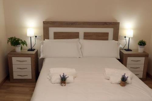 ein Schlafzimmer mit einem großen weißen Bett mit zwei Nachttischen in der Unterkunft Apartamento turisticos Puente Romano P3 1-A in Salamanca