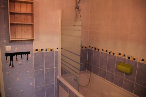 La salle de bains est pourvue d'une douche avec une porte en verre. dans l'établissement Rêve Fontaine, à Joinville