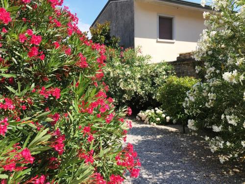 Κήπος έξω από το Palazzo Strassoldo bed & breakfast
