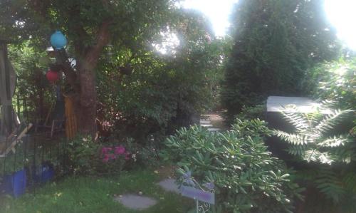 Ogród w obiekcie Das kleine Ferienhaus