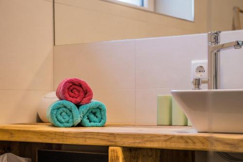 a bathroom with two towels on a counter next to a sink at Bienenkunde Lunz in Lunz am See