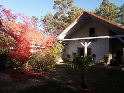 Κήπος έξω από το Ferienhaus am Fleesensee
