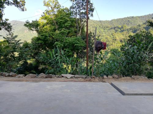 Gallery image of Delight Homestay in Cherrapunji