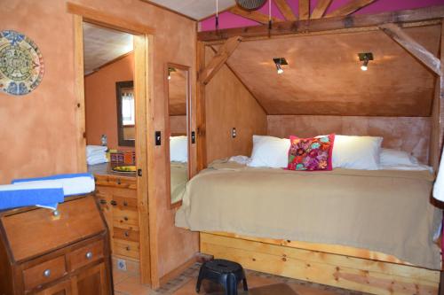 a bedroom with a bed and a dresser and a mirror at Leo's Baja Oasis in La Paz