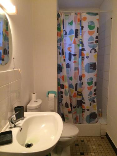 a bathroom with a sink and a toilet and a shower curtain at Appartement 4 personnes centre ville in Châteauneuf-sur-Loire