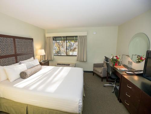 a hotel room with a bed and a desk and a television at Maple Tree Inn in Sunnyvale