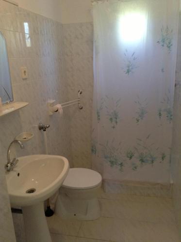 a bathroom with a toilet and a shower curtain at Rozs Ház in Zalakaros