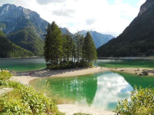 a large body of water with trees and mountains at Ferienwohnung Reichmann in Bodensdorf