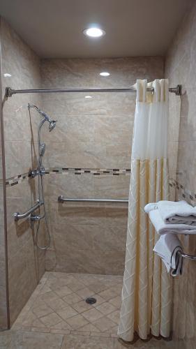 y baño con ducha y cortina de ducha. en Santa Ana Travel Inn, en Santa Ana