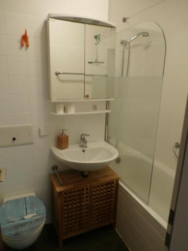 a bathroom with a sink and a shower and a toilet at Bergsee in Schluchsee