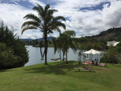 a palm tree and a picnic table next to a lake at Casa finca típica the lake hotel in Guatapé