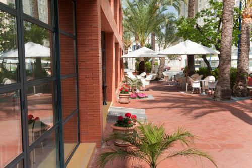 Κήπος έξω από το Hotel El Palmeral