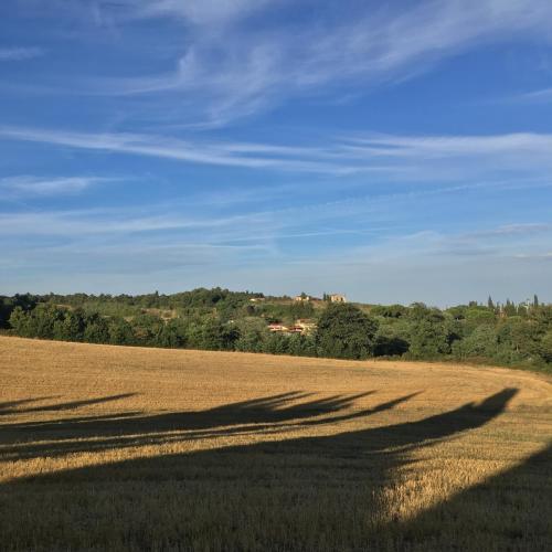 a long shadow of a pole in a field at Your home in Trequanda in Trequanda