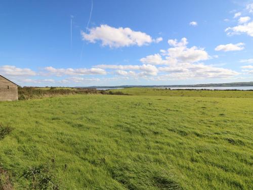 a field of green grass with a barn in the distance at Labasheeda in Kilrush