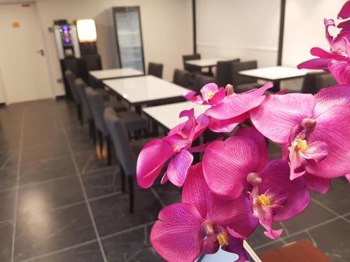 a bunch of purple orchid flowers in a room at Best Western Hôtel Journel Paris Sud in Ris-Orangis