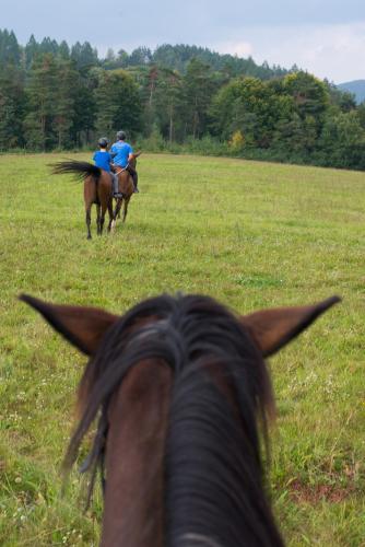 two people riding on horses in a field at Hotel Karino Spa in Polańczyk