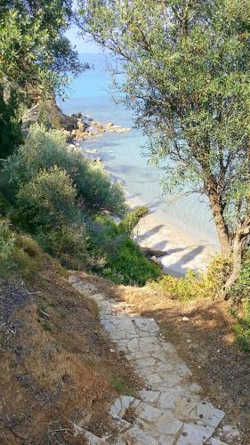 a stone path next to a beach with trees at BanSala Villas in Vounaria