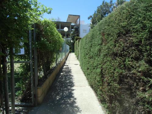 un chemin de jardin à côté d'une haie dans l'établissement Apart Club la Barrosa, à Chiclana de la Frontera