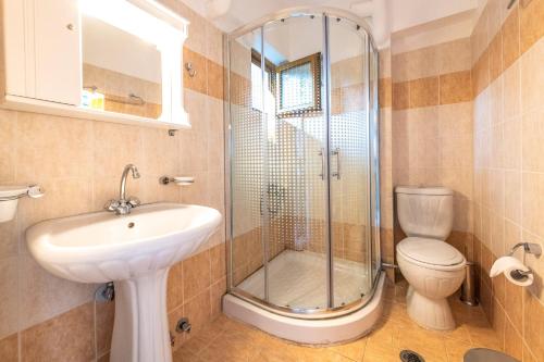 a bathroom with a shower and a sink and a toilet at Thermios Apollon in Thermo
