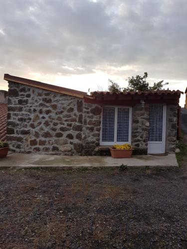 a stone house with two windows and two plants in front at La maison D'Orée in Polignac