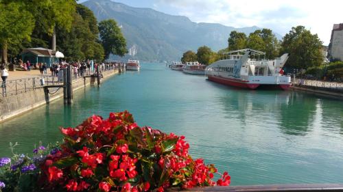 a group of boats on a river with flowers at Escale du château de Promery 1389 in Annecy