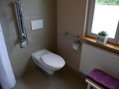 a small bathroom with a toilet and a window at Irreler Mühle Ferienwohnungen und Ferienhäuser in Irrel