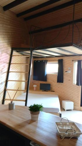 Cette chambre comprend deux lits superposés et une table avec une plante. dans l'établissement Le Cabestan, à La Jarne