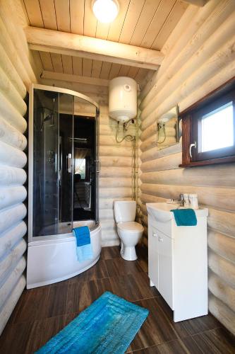 a bathroom with a toilet and a sink at klub Karino 2 in Mikołajki