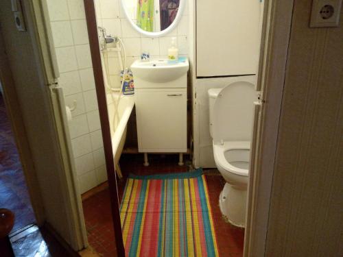 モスクワにあるУютные апартаменты на Ельнинскойの小さなバスルーム(トイレ、シンク付)