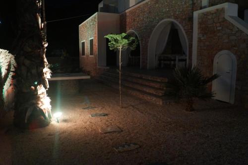 a plant in the middle of a courtyard at night at STUDIOSWORX Apartments in Ios Chora