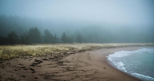 a foggy beach with trees in the background at Hõbekala Guesthouse in Kalana