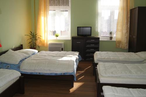 Postel nebo postele na pokoji v ubytování Penzion Modrý Jelen