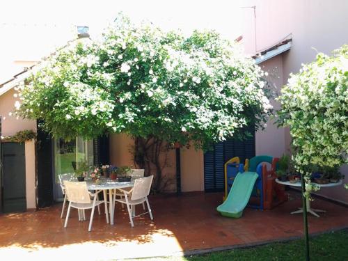 una mesa y sillas bajo un árbol con un parque infantil en Bed & breakfast Familia San Martín en Vicente López