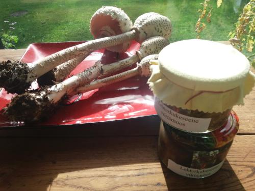 a jar of peanut butter next to a toy at Hõbekala Guesthouse in Kalana