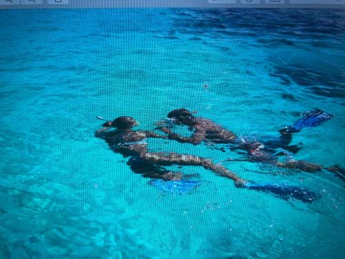 two people playing in the clear blue water at Sun Villa in Pereybere