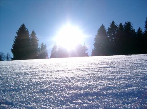 a snow covered field with the sun in the background at WEITBLICK "entspannen - wohlfühlen - aktiv erholen" in Elzach