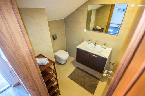 a bathroom with a sink and a toilet and a mirror at Apartments and Rooms Skalinada in Murter