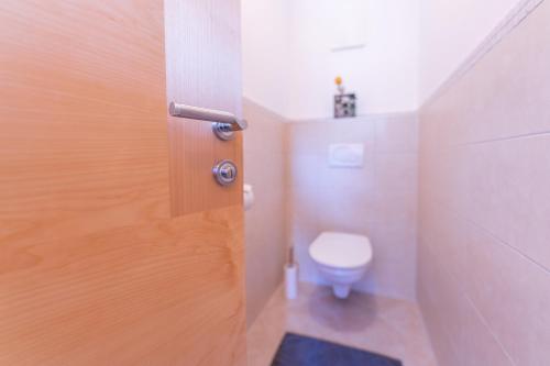 a bathroom with a toilet and a wooden door at Apart Andrea in Längenfeld
